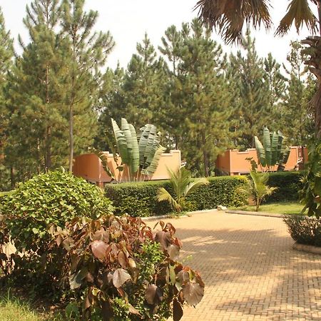 Saltek Forest Cottages Masindi Экстерьер фото