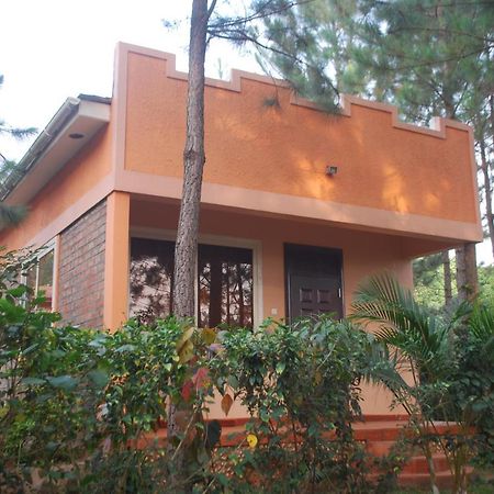 Saltek Forest Cottages Masindi Экстерьер фото