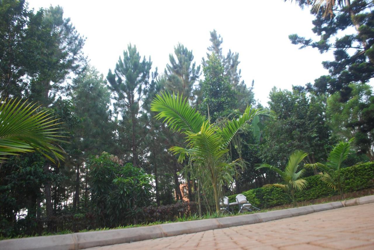 Saltek Forest Cottages Masindi Экстерьер фото