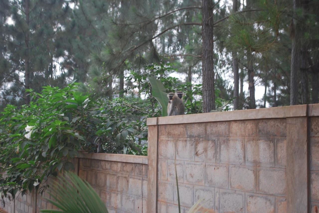Saltek Forest Cottages Masindi Экстерьер фото