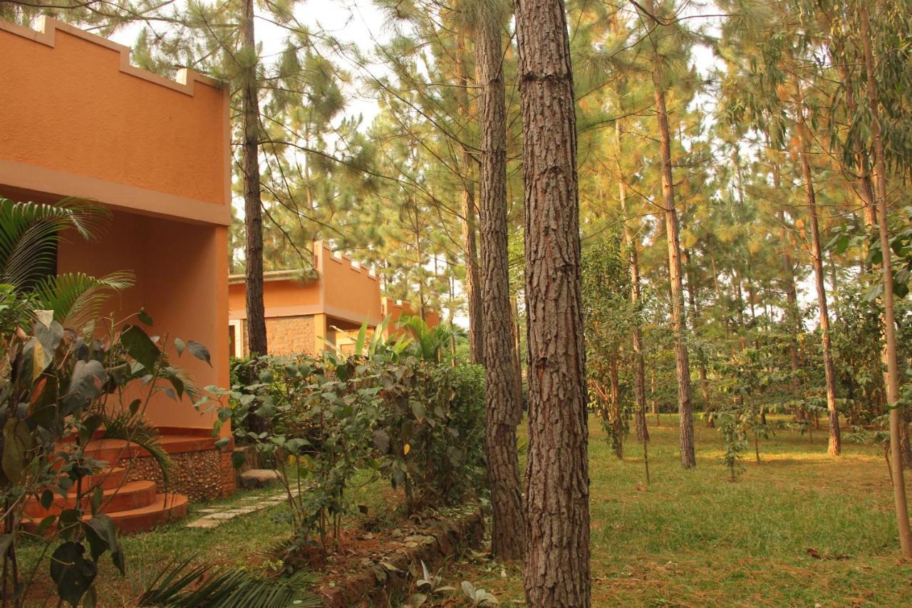 Saltek Forest Cottages Masindi Экстерьер фото