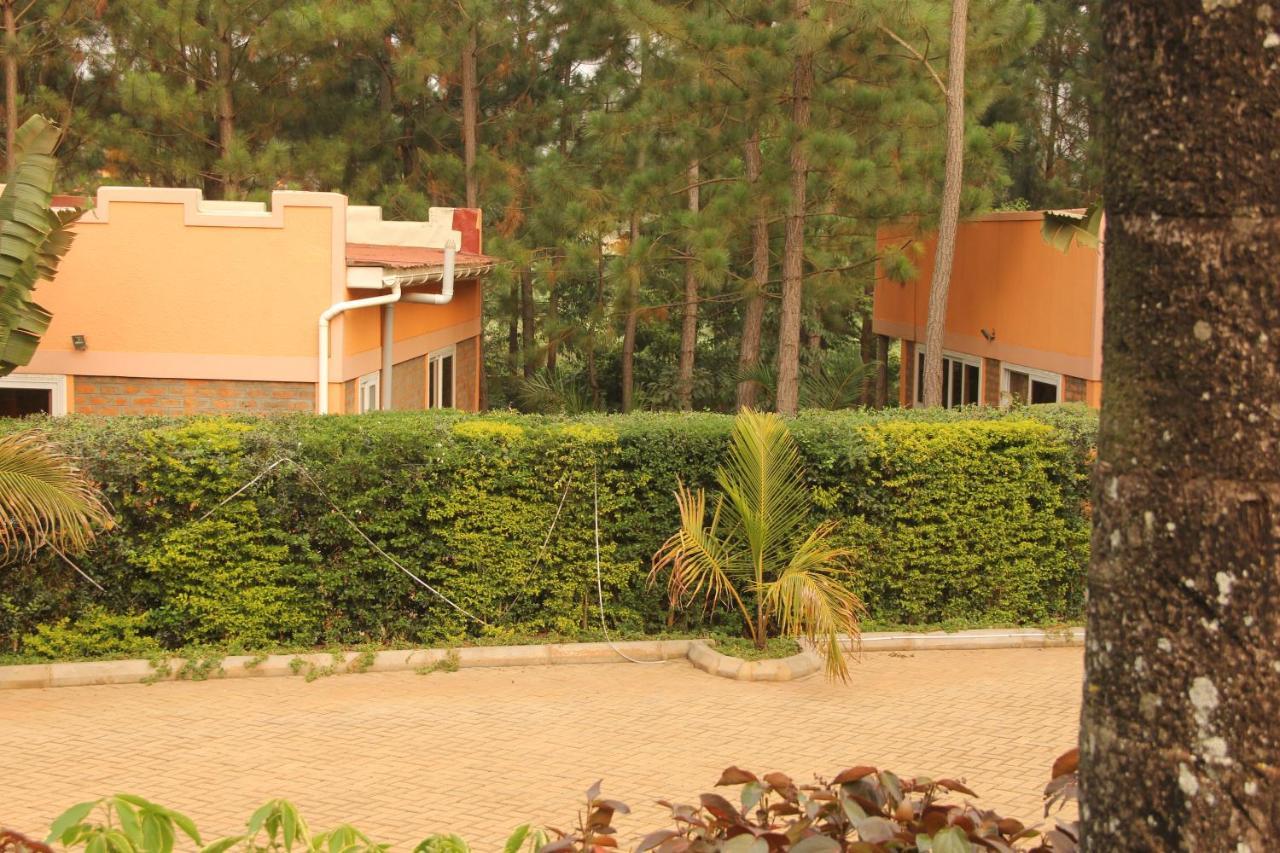 Saltek Forest Cottages Masindi Экстерьер фото