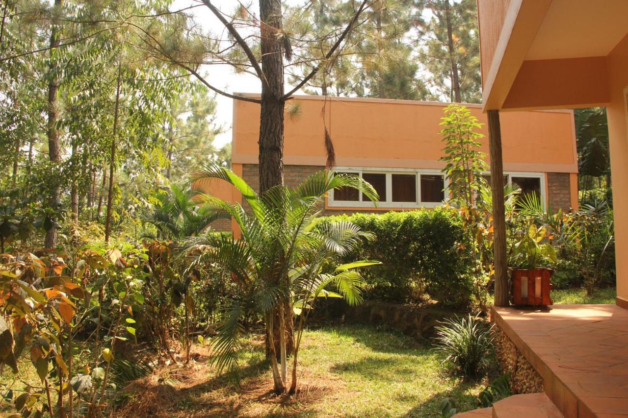 Saltek Forest Cottages Masindi Экстерьер фото