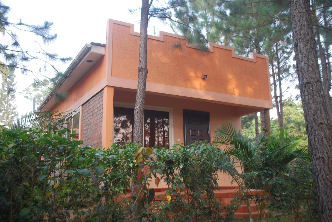 Saltek Forest Cottages Masindi Экстерьер фото